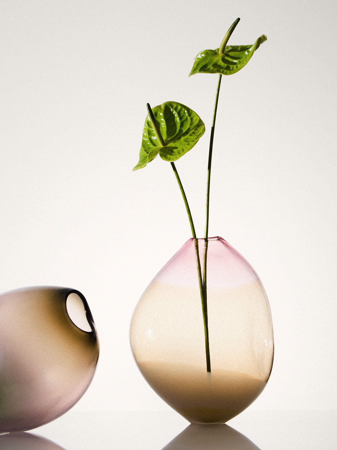 Michèle Oberdieck - Delicate Sepia Hand-Blown Glass Vase (12in/31cm) - Multiple - ABASK