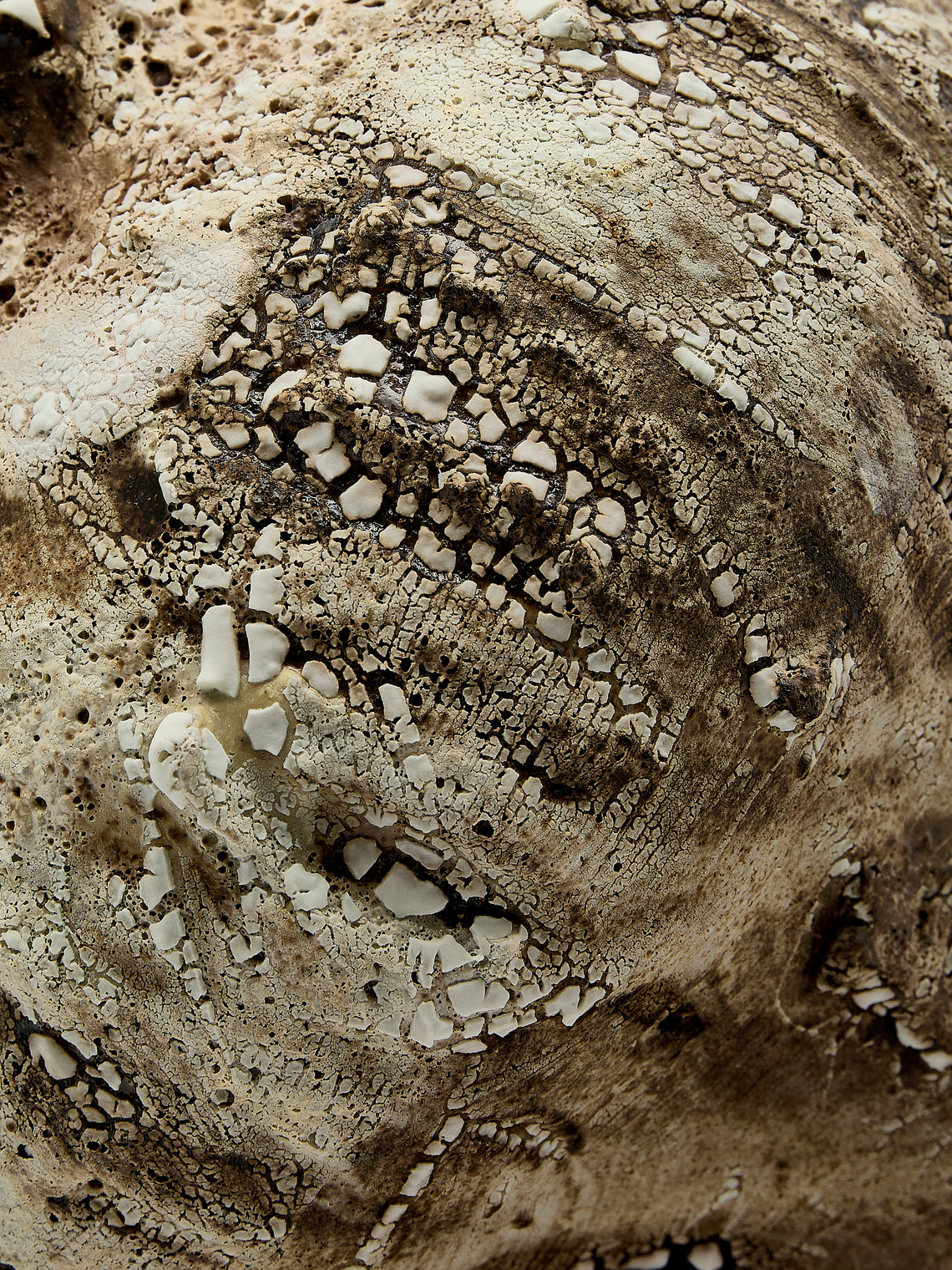 SWAY Ceramics - Poppy II Stoneware Vase - Brown - ABASK