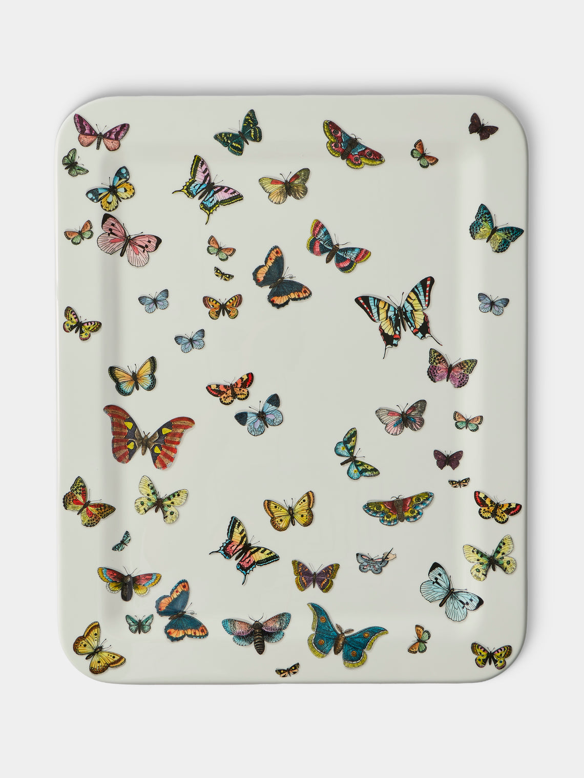 Fornasetti - Farfalle Wood Tray (23.5in/60cm) - Multiple - ABASK - 