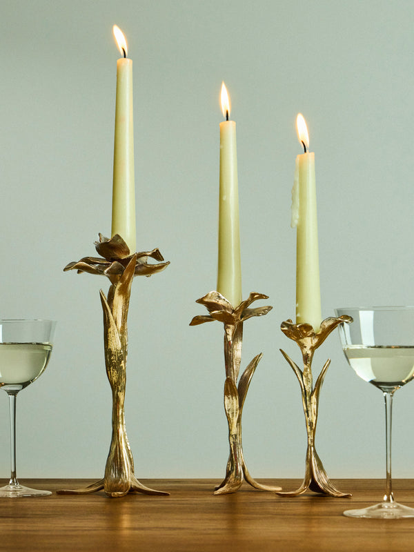 Osanna Visconti - Iris Hand-Cast Bronze Large Candle Holder - Bronze - ABASK