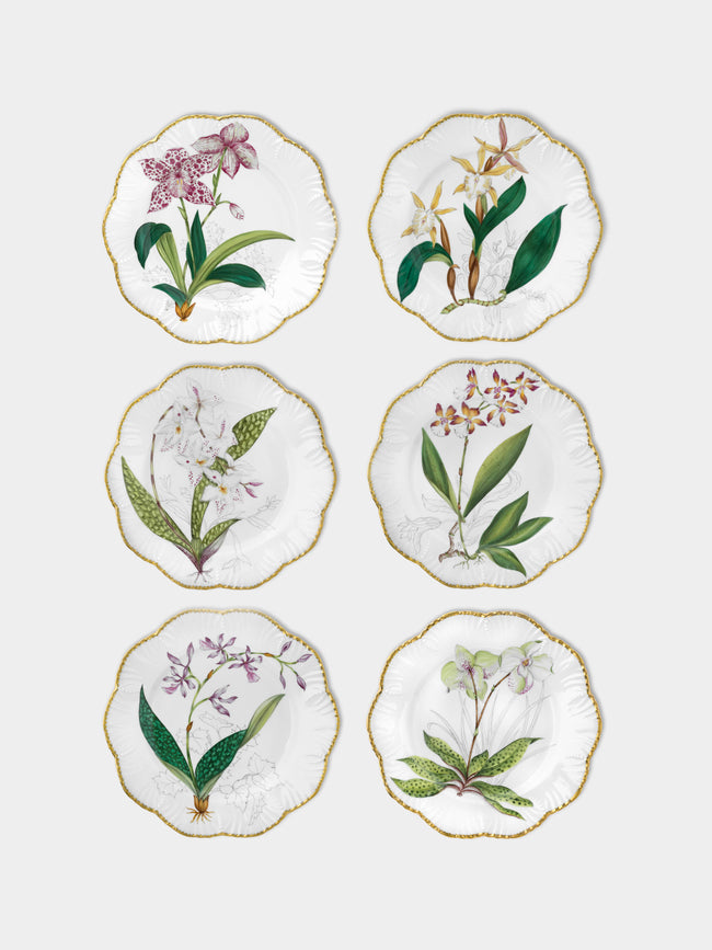Pinto Paris - Histoires d'Orchidées Hand-Painted Porcelain Dinner Plates (Set of 6) -  - ABASK - 