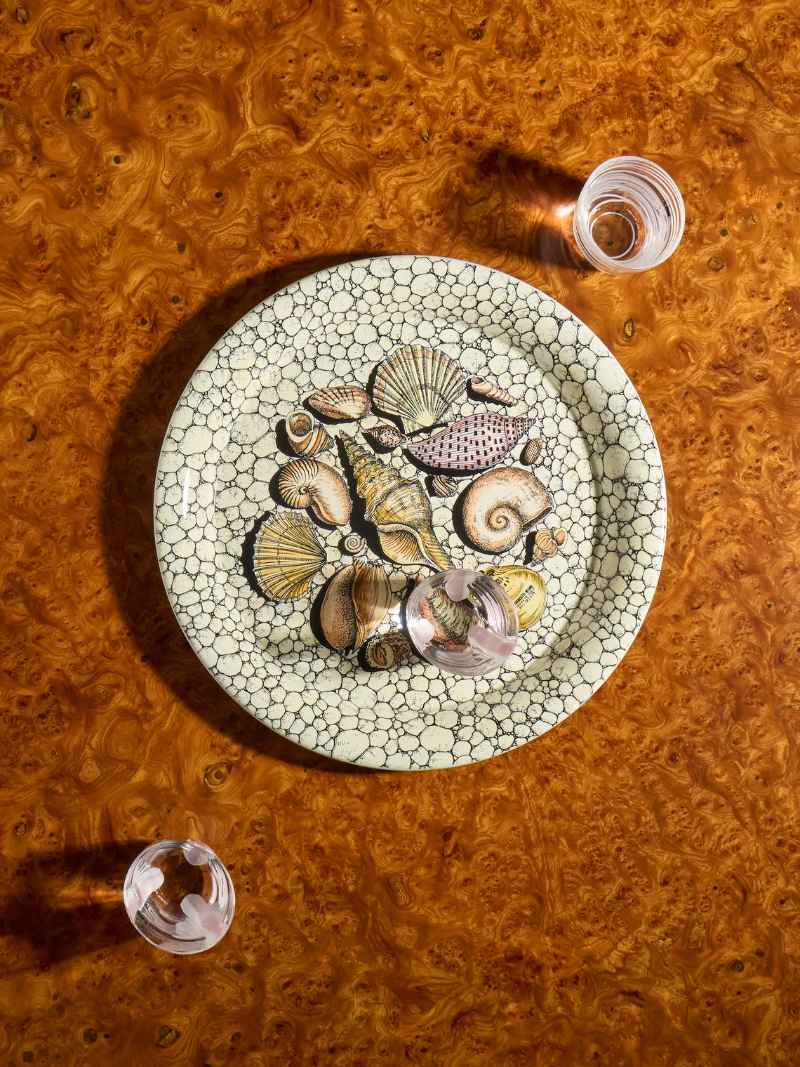 Fornasetti - Conchiglie e Ciottoli Wood Round Tray - Ivory - ABASK