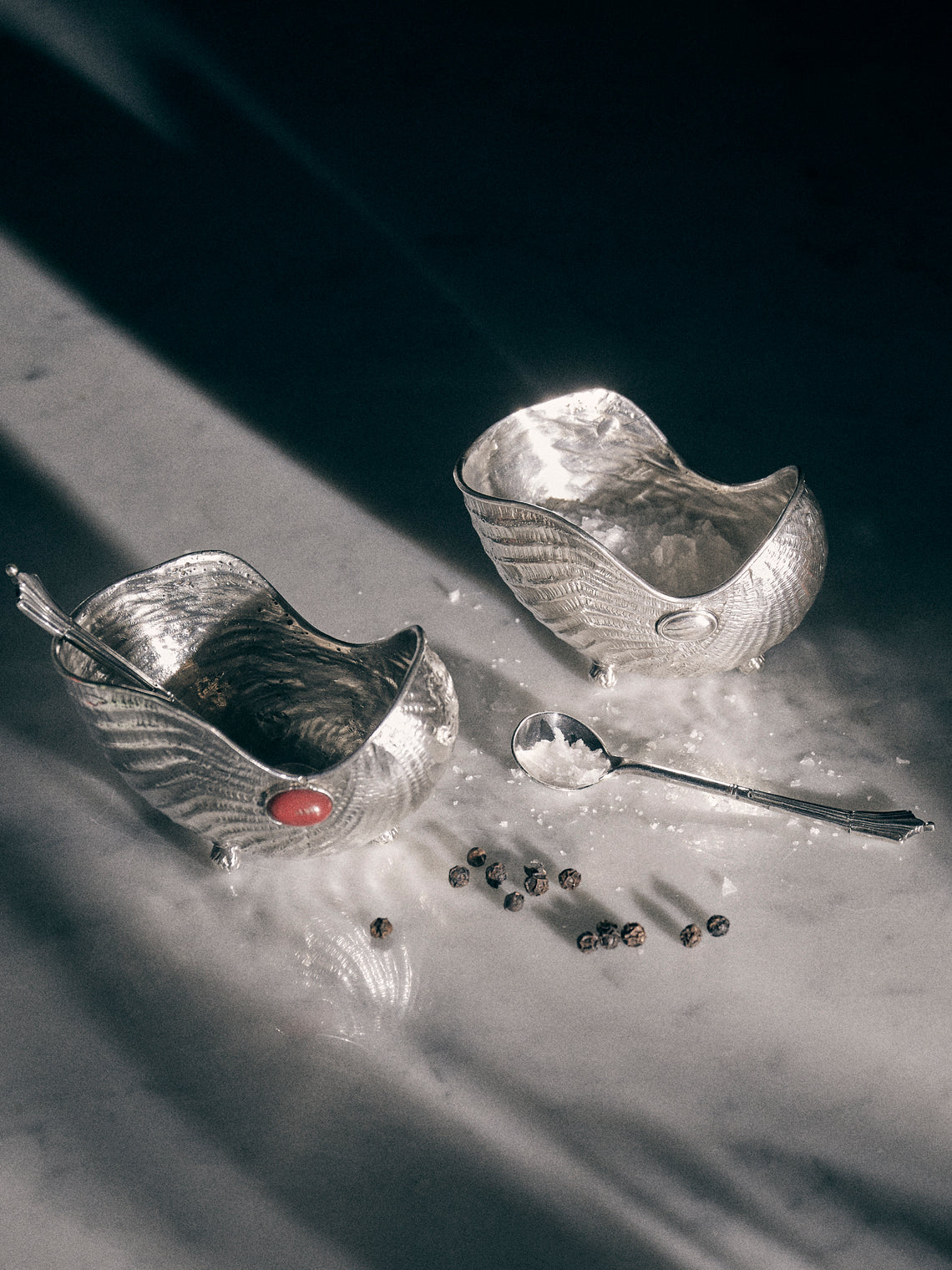 Antique and Vintage - 1970s Silver Shell Salt and Pepper Dishes (Set of 2) - Silver - ABASK