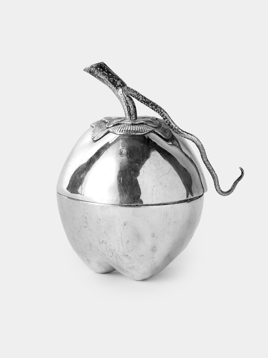 Antique and Vintage - 1900s Solid Silver Apple Beetle Box - Silver - ABASK - 