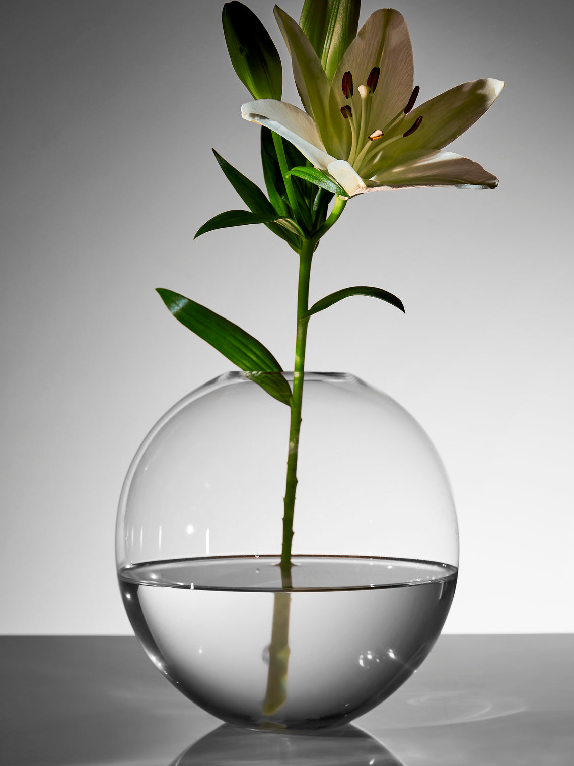 Lobmeyr - BV60 Hand-Blown Crystal Vase (8in/20cm) - Clear - ABASK