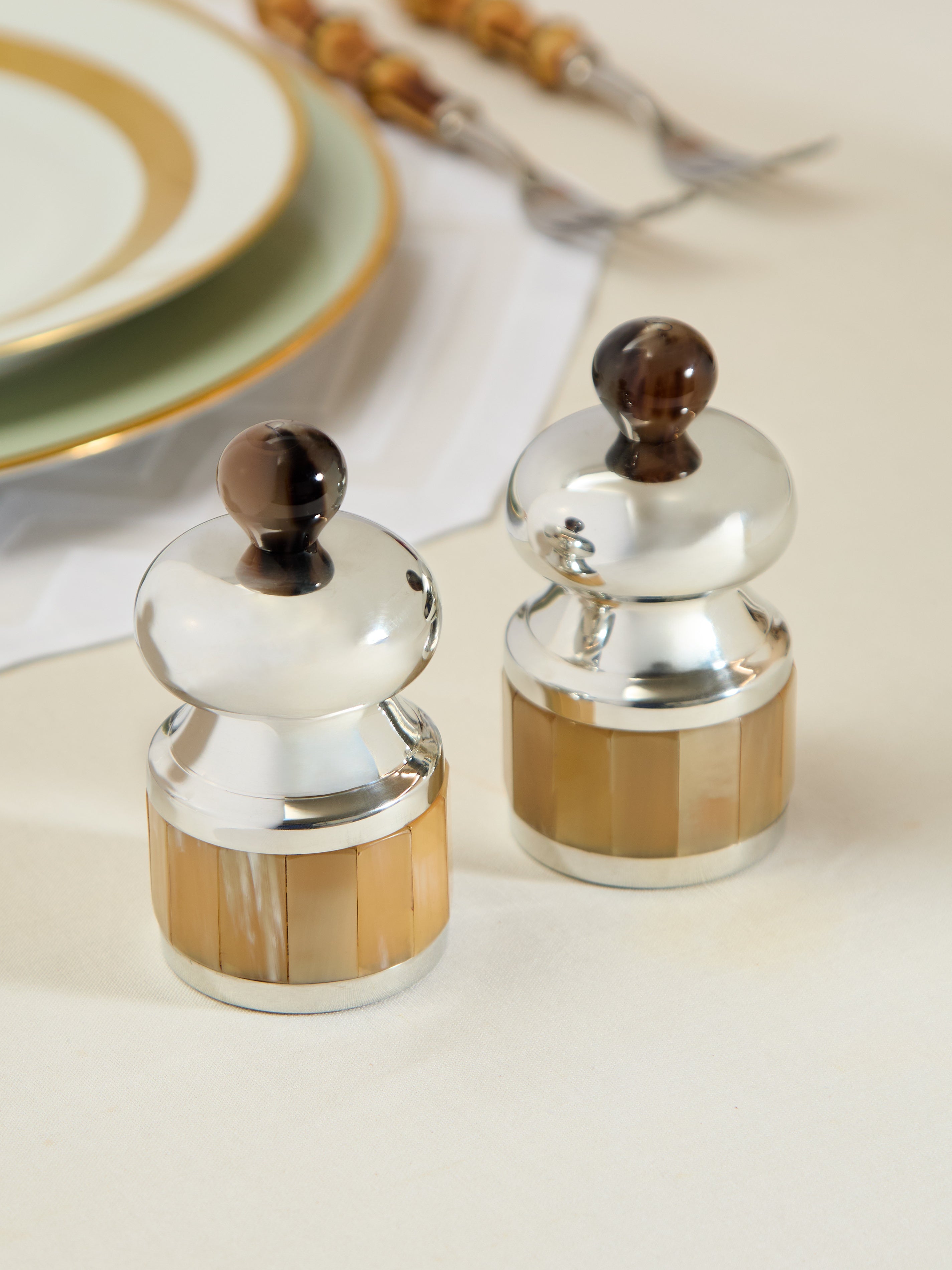 Zebu Horn Salt and Pepper Mills (Set of 2)