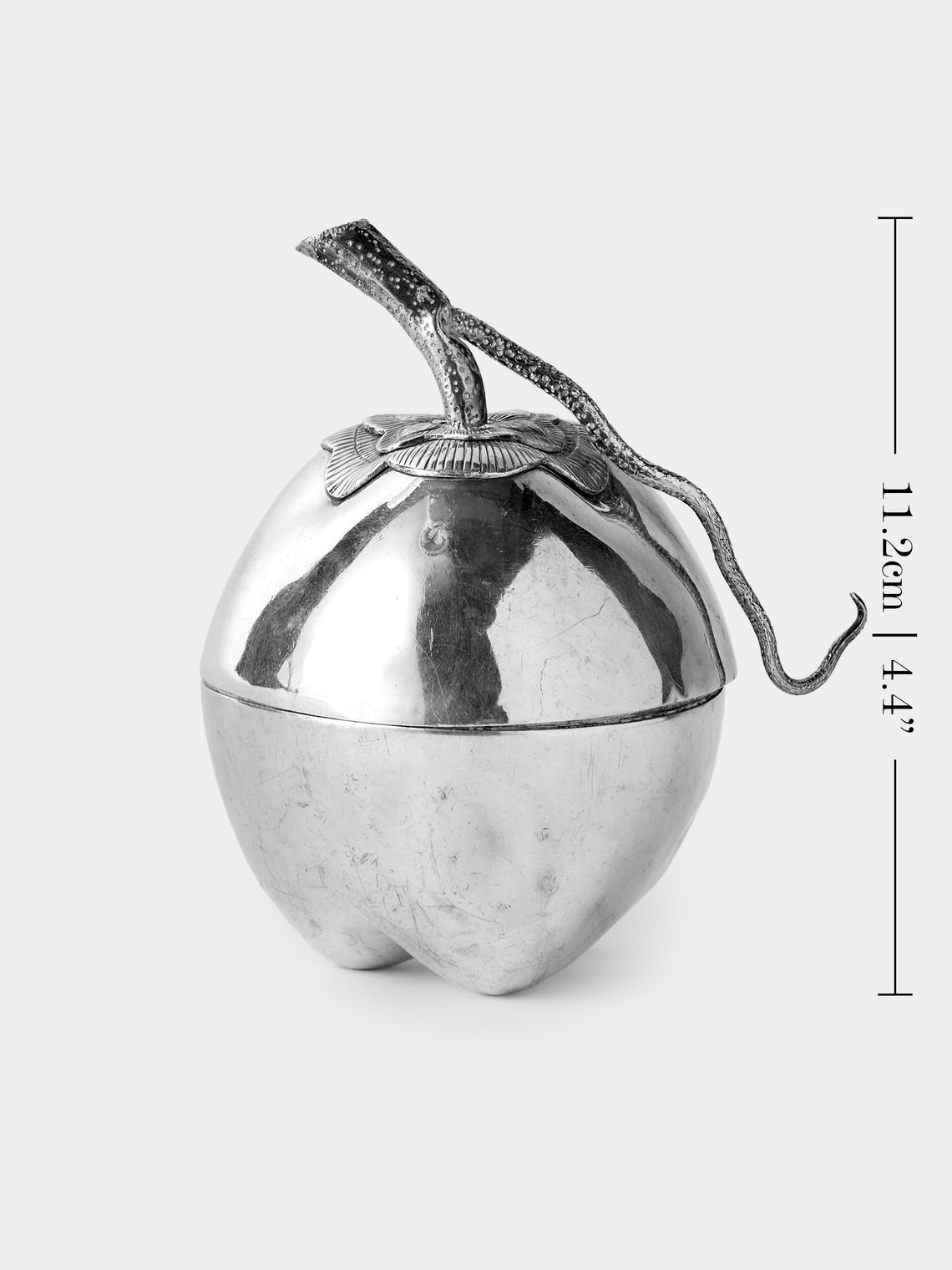 Antique and Vintage - 1900s Solid Silver Apple Beetle Box - Silver - ABASK