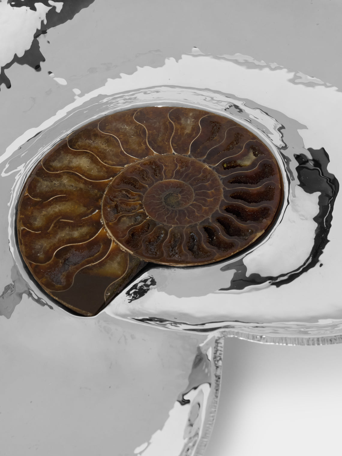 Tavares 1922 - Silver and Ammonite Fossil Tray (15.5in/39cm) - Silver - ABASK
