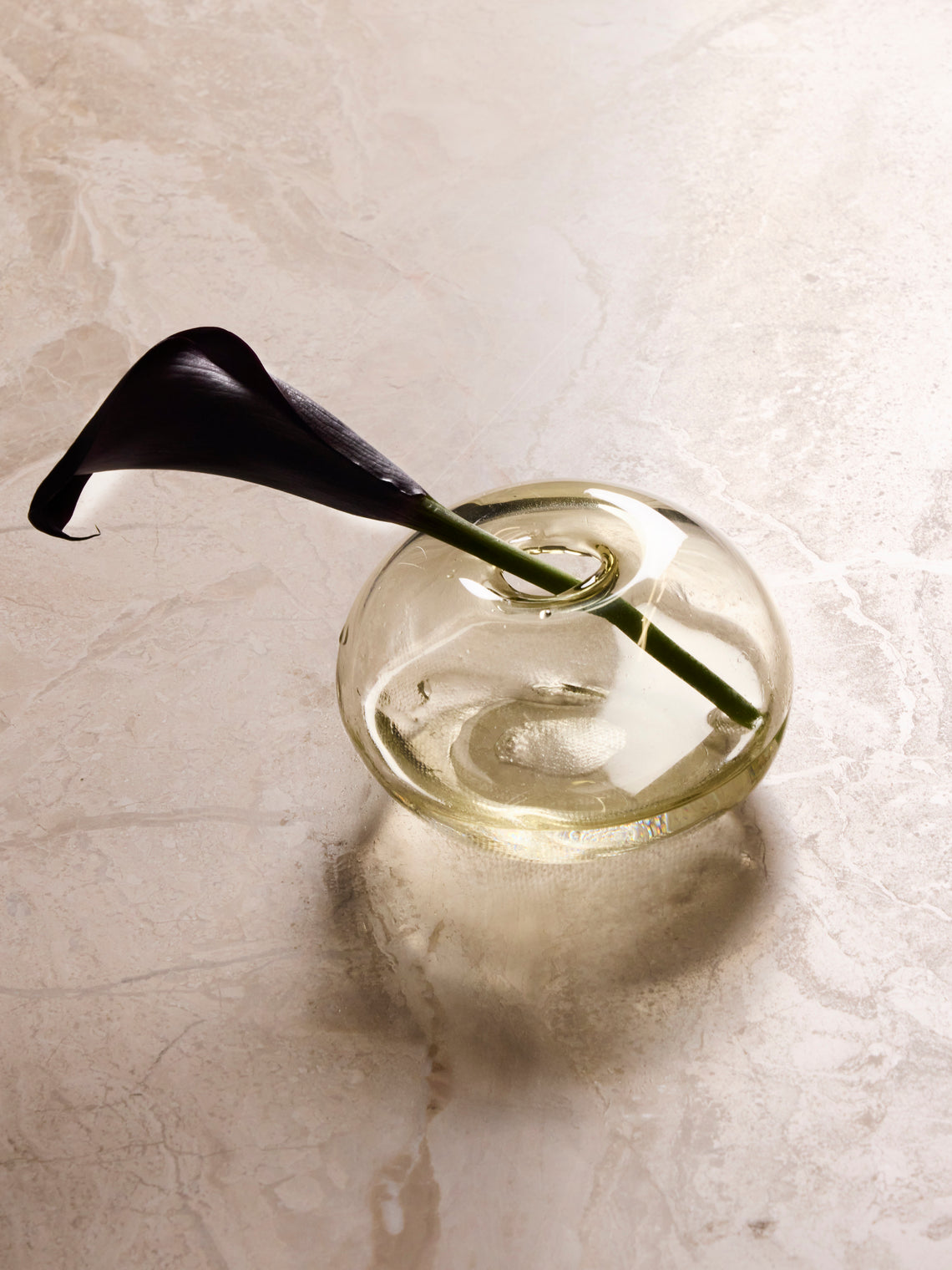 Vogel Studio - Hand-Blown Glass Bud Vase (5in/13cm) - Clear - ABASK