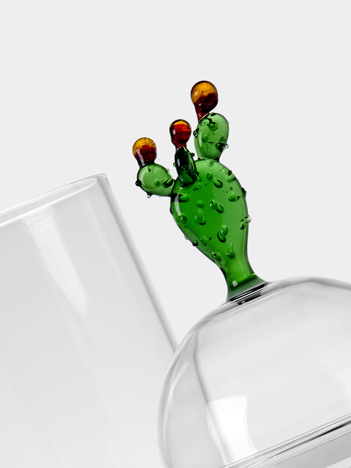 Casarialto - Cactus Hand-Blown Glass Jar - Green - ABASK