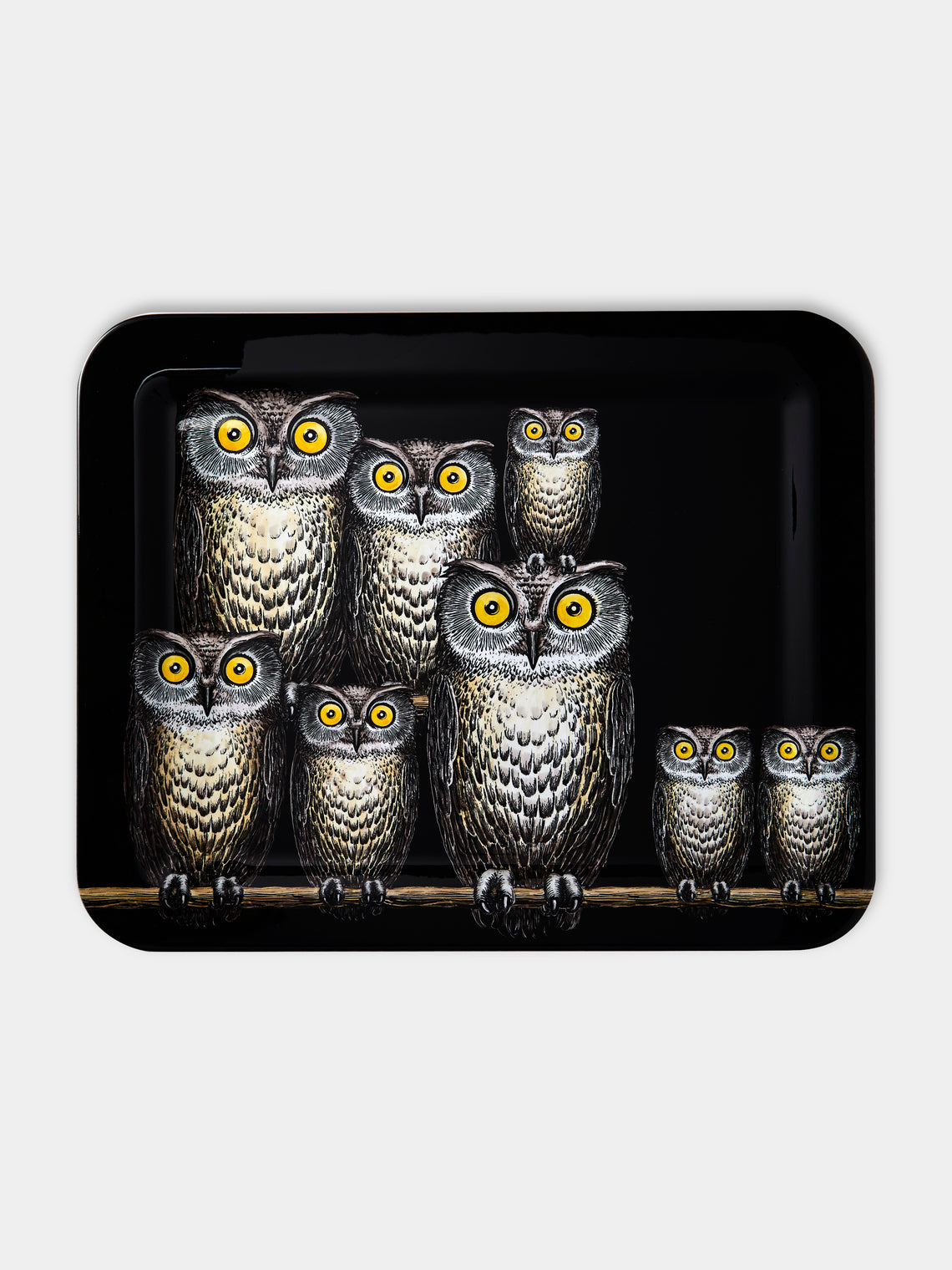 Fornasetti - Civette Iron Tray - Black - ABASK - 