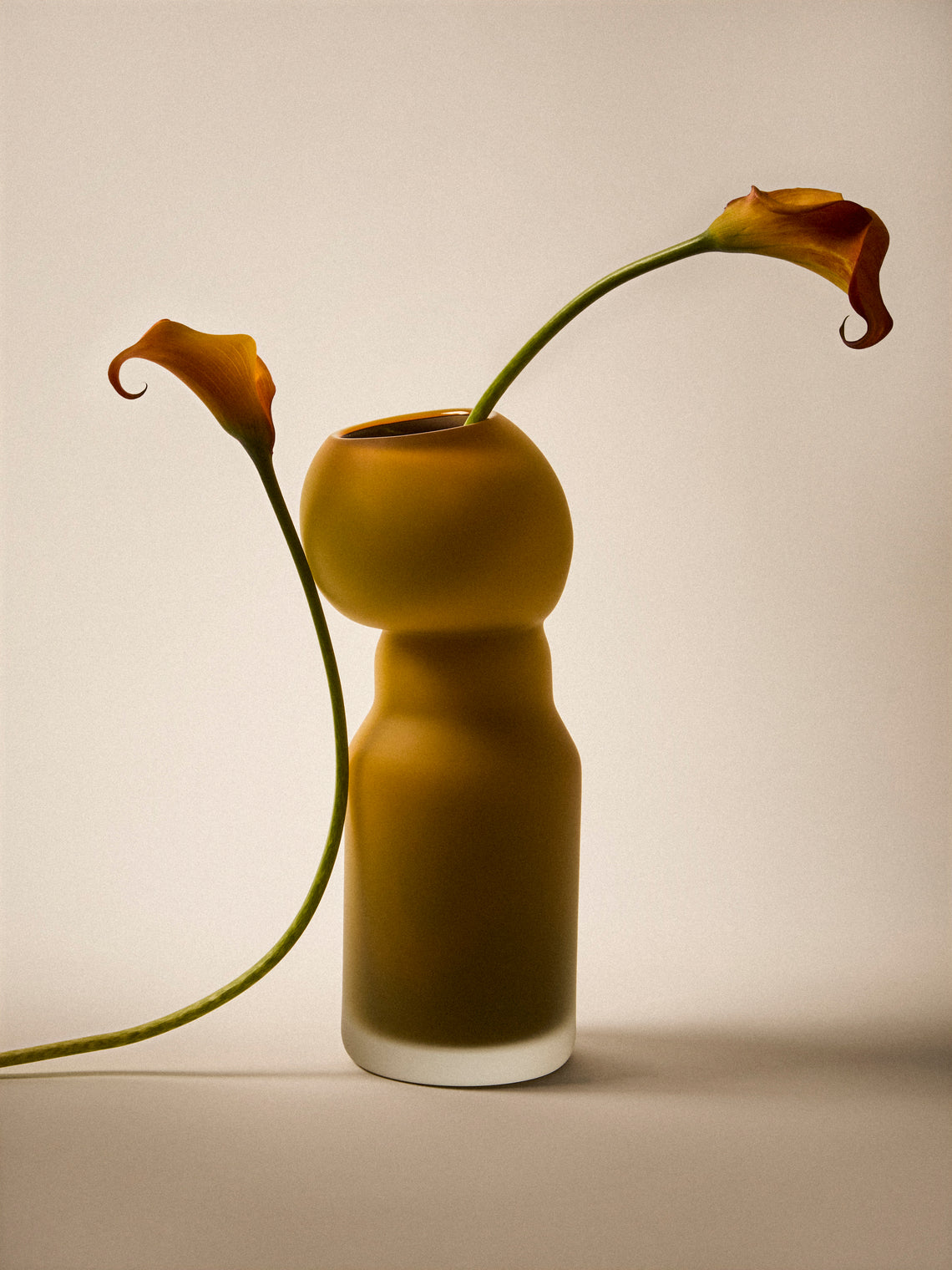 David Valner - Fungus Hand-Blown Glass Vase (13.5in/34cm) - Brown - ABASK