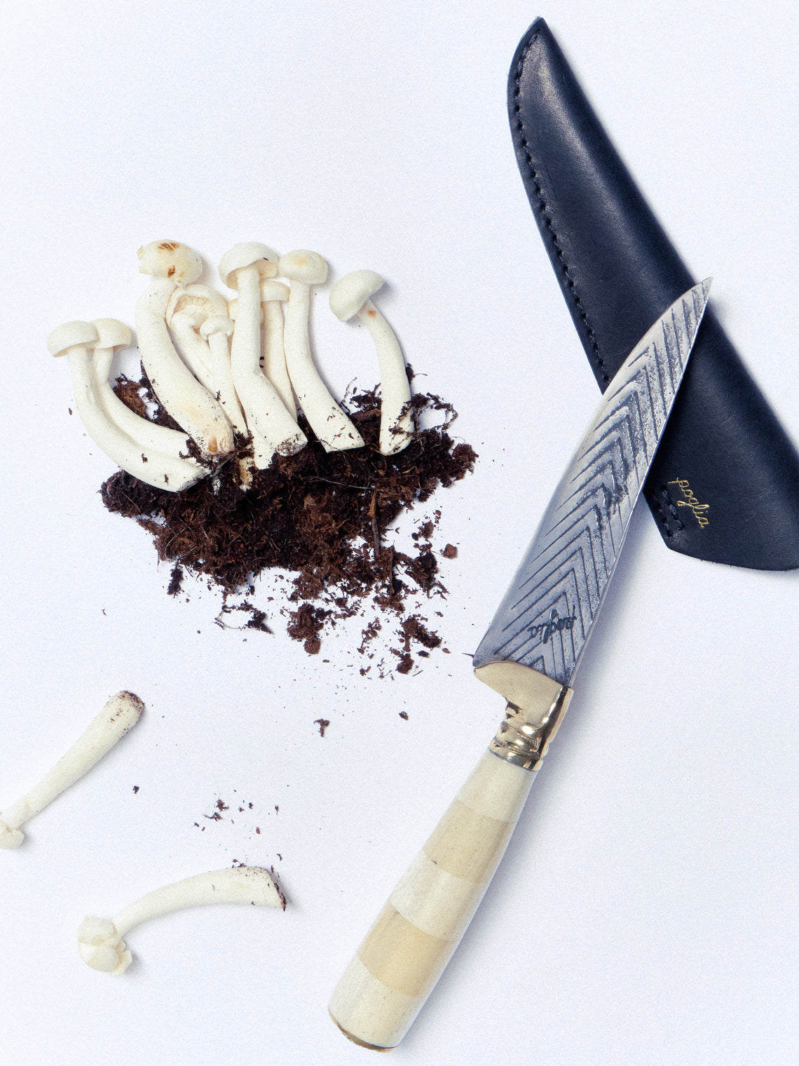 Poglia - Florence Signature Horn and Bone Knife - Cream - ABASK