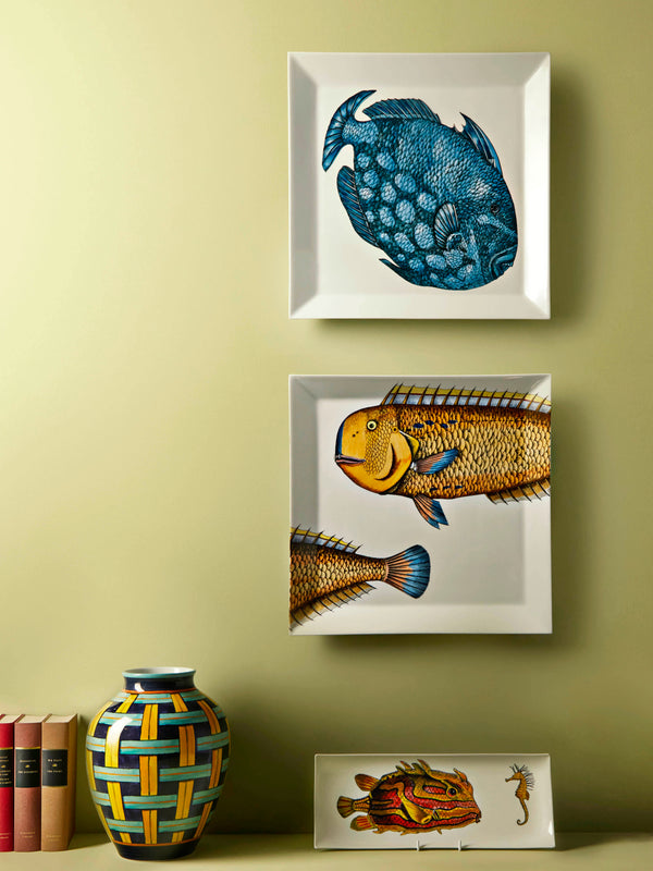 Pesce Lampuga Porcelain Tray