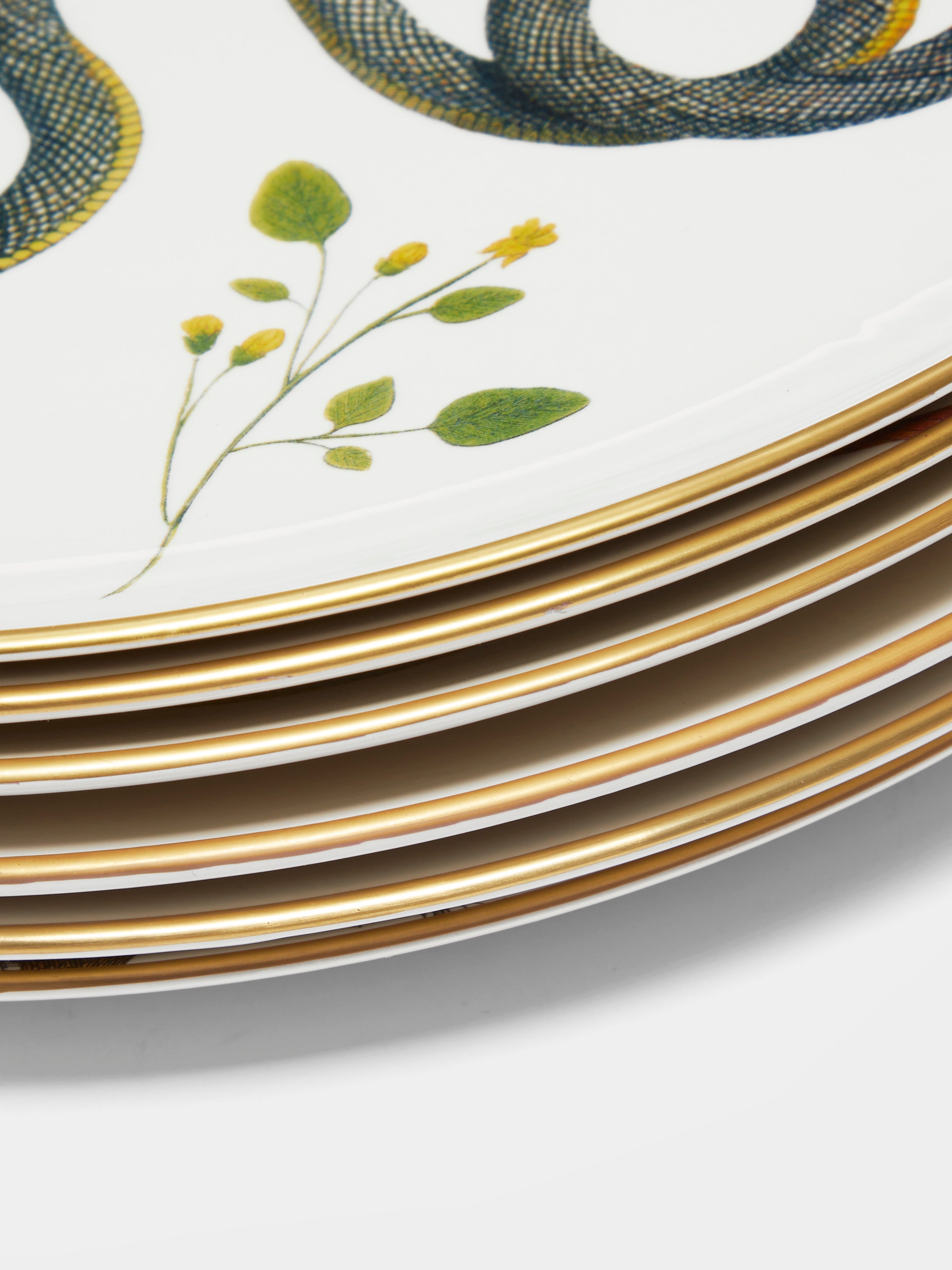 Multiple Serpi Ceramic Dinner Plates (Set of 6) by Laboratorio ...