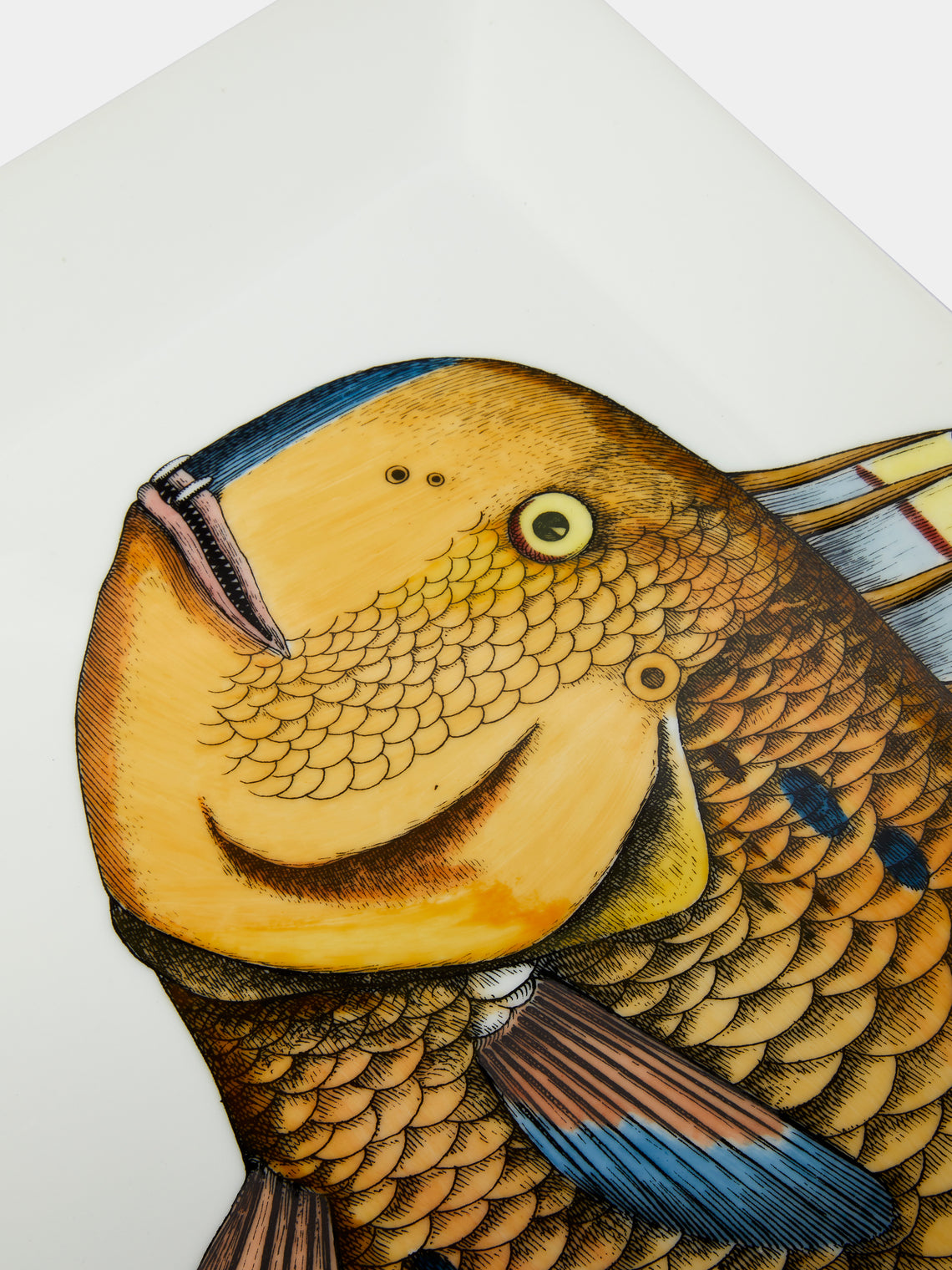 Fornasetti - Pesce Lampuga Porcelain Tray -  - ABASK