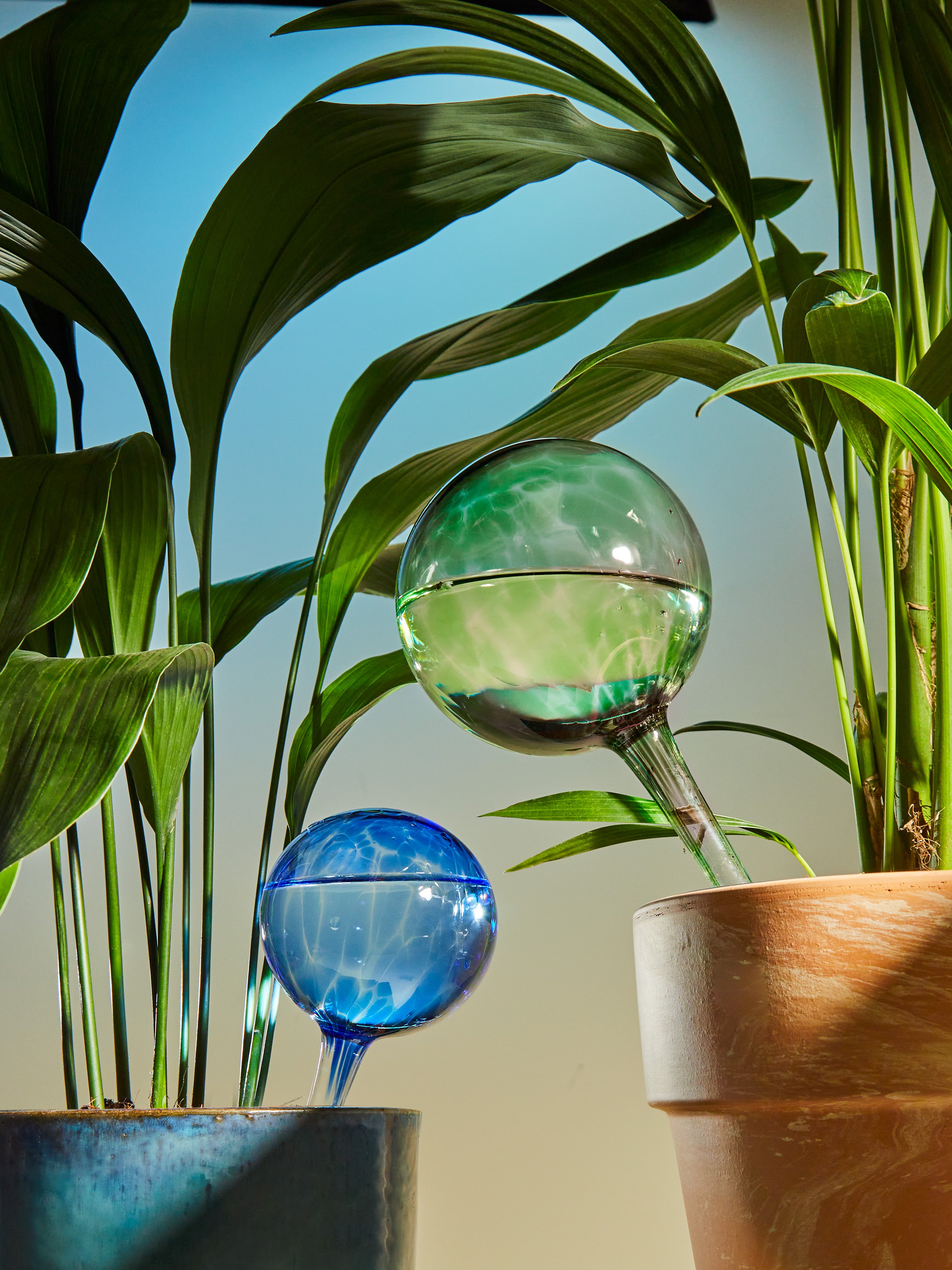 Using Diffusing Globes Blue Hand-Blown Crystal Water-Diffusing Petit Globe by Dab'O | ABASK US