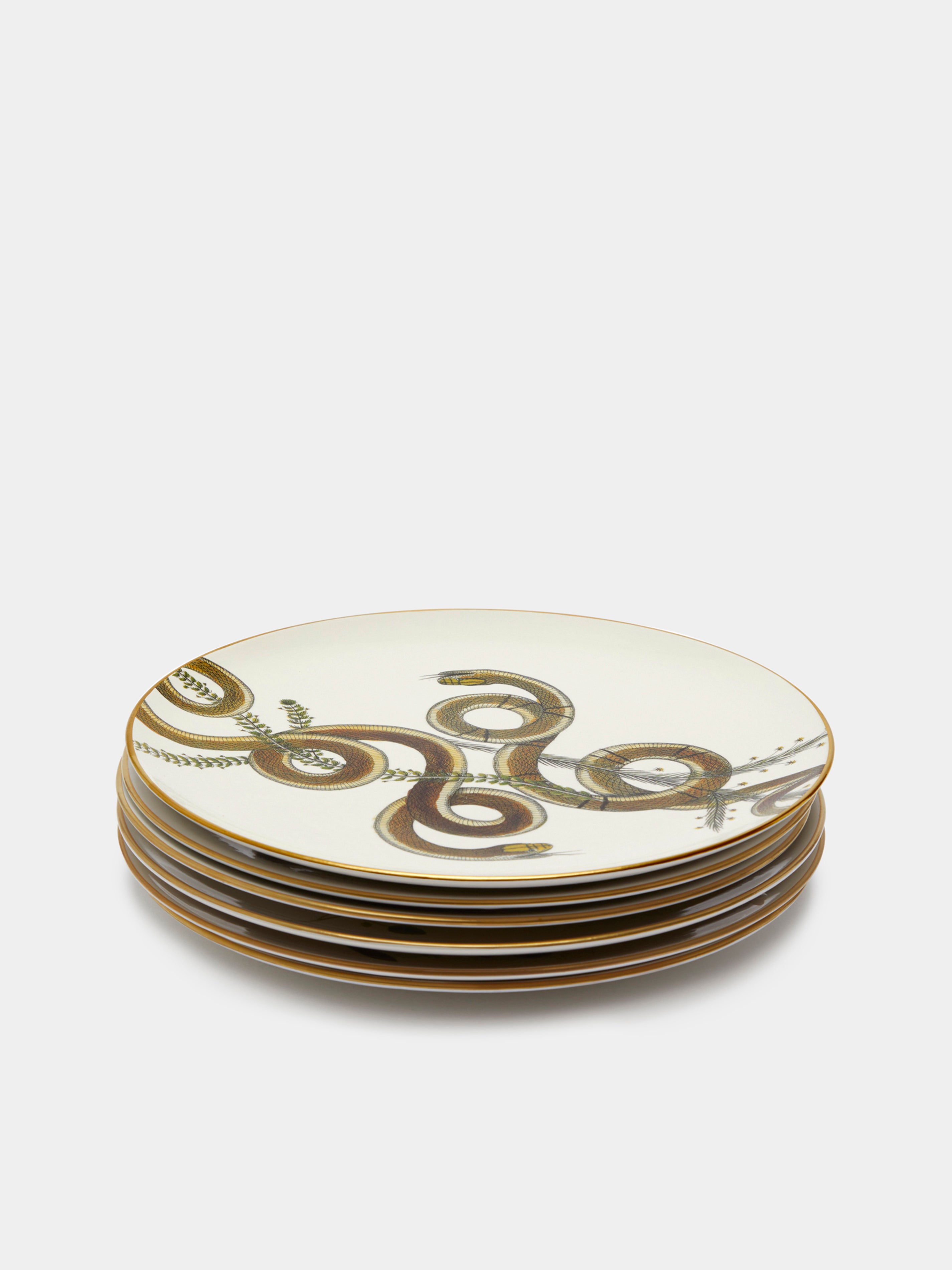 Multiple Serpi Ceramic Dinner Plates (Set of 6) by Laboratorio ...