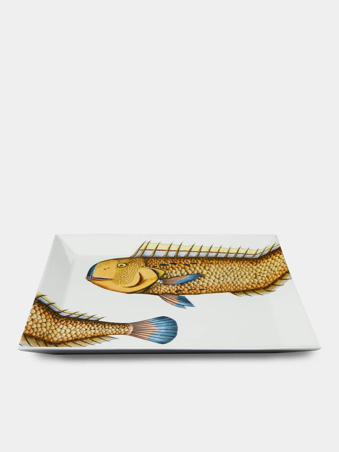 Fornasetti - Pesce Lampuga Porcelain Tray - Multiple - ABASK