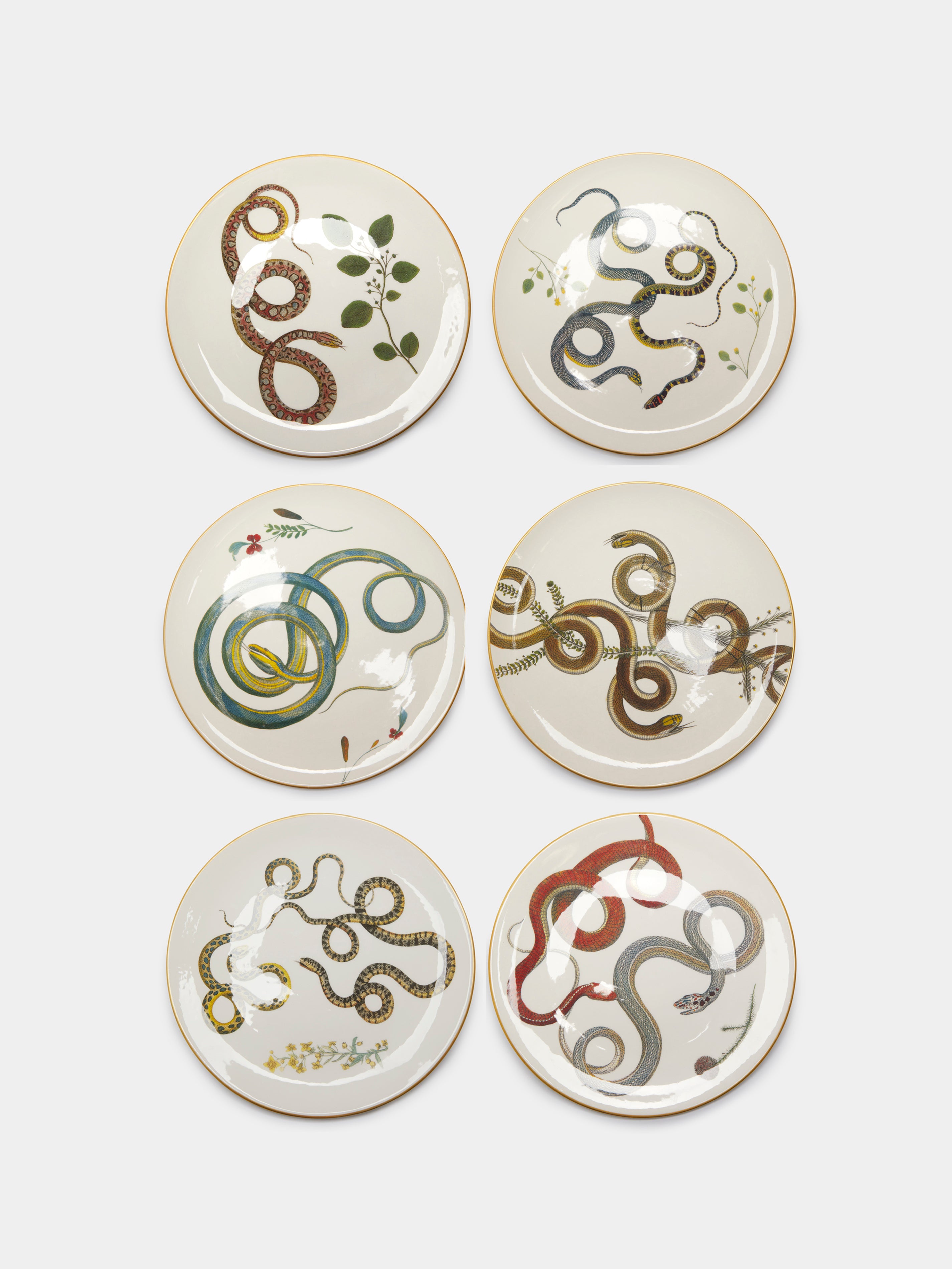 Multiple Serpi Ceramic Dinner Plates – 10in/25cm (Set of 6) by ...