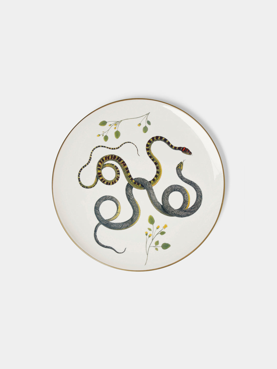 Multiple Serpi Ceramic Salad / Dessert Plates – 8in/20cm (Set of 6) by ...