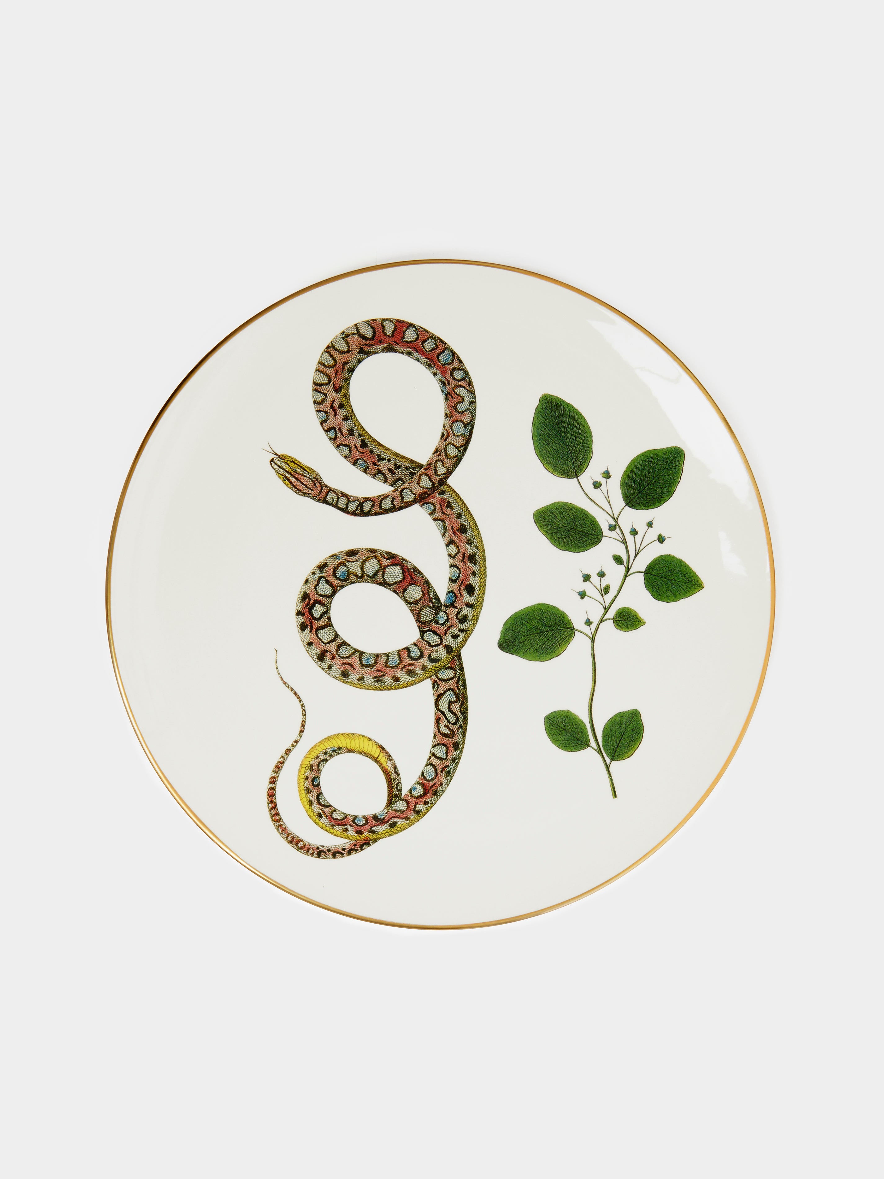 Multiple Serpi Ceramic Dinner Plates – 10in/25cm (Set of 6) by ...