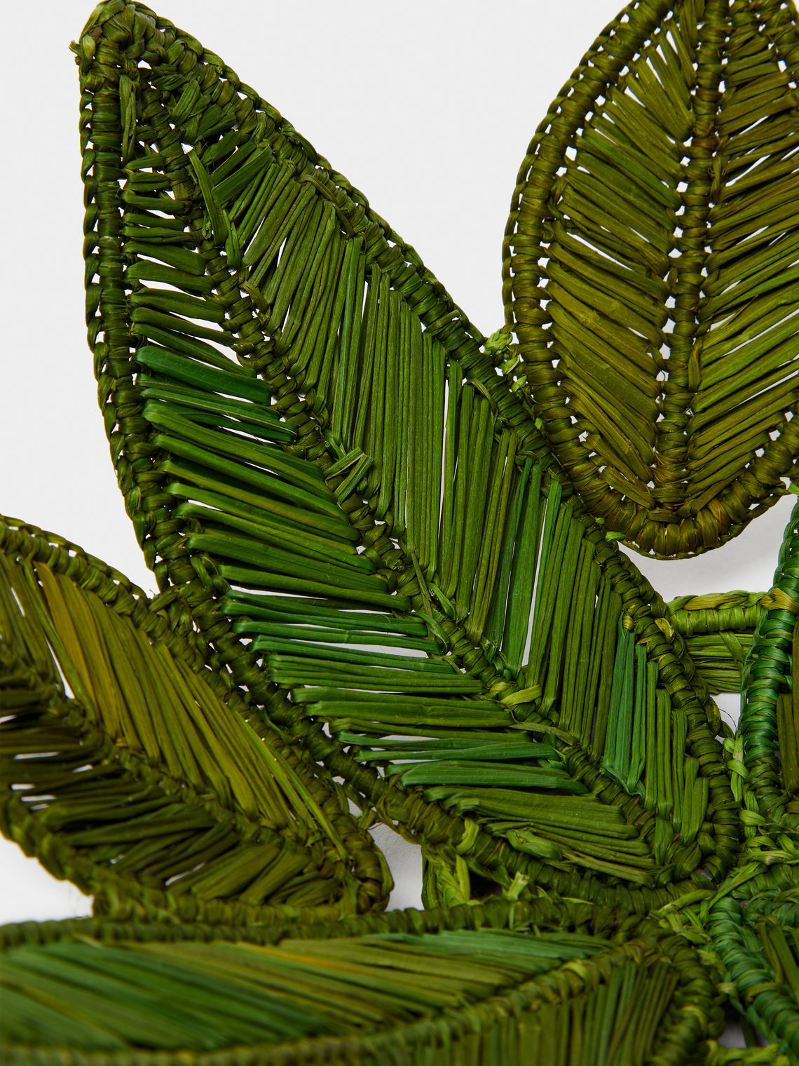 Artesanías del Atlántico - Handwoven Stromanthe Palm Centrepiece - Green - ABASK